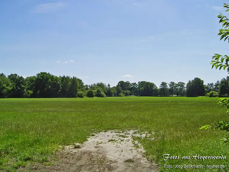 Wiese am Knappensee