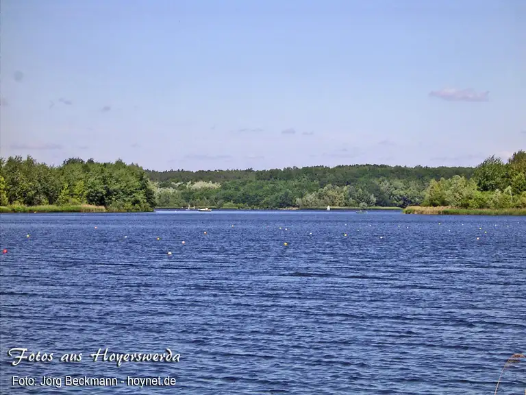 Blick auf den Knappensee