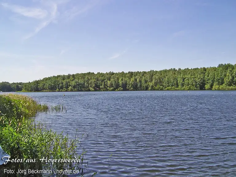 Blick auf den Knappensee