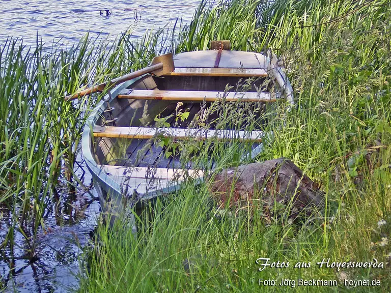 Boot am Knappensee-Ufer