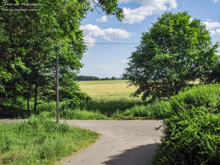 Hommelmühlenweg Hoyerswerda