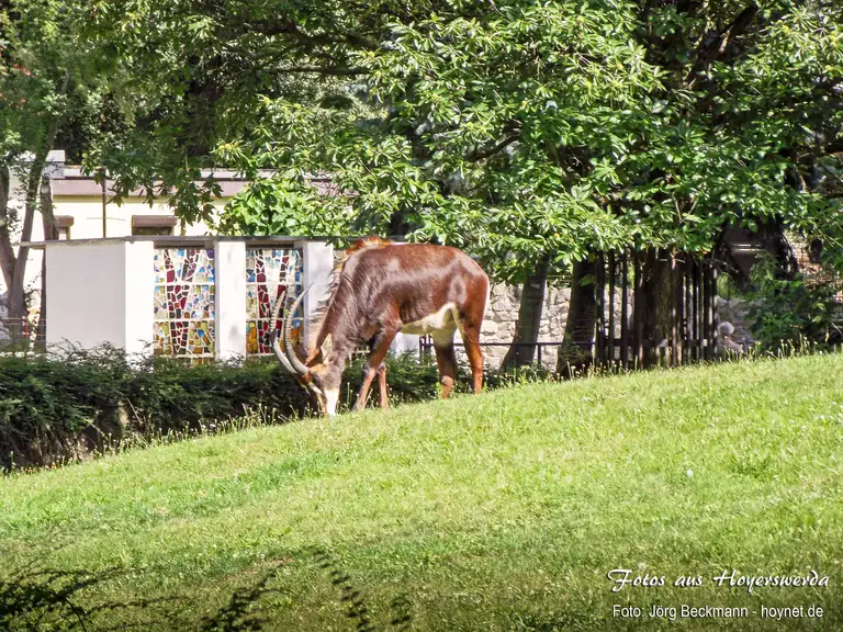 Zoo Hoyerswerda